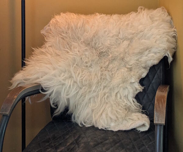 Big fleece 2025 820x680 Fionn -First-Shear Felted Fleece