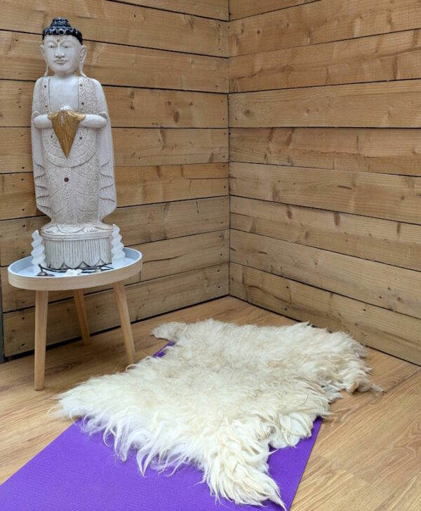 Yoga big fleece 2025 2 Fionn -First-Shear Felted Fleece